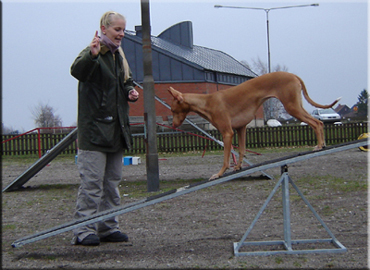 Agility with Zäta