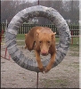 Agility with Zäta