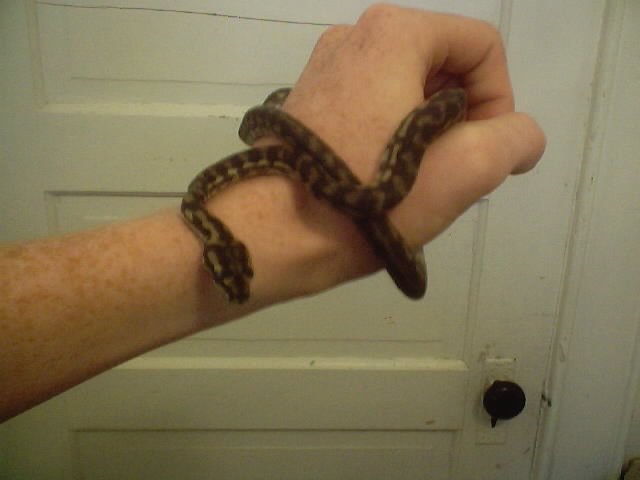 baby coastal3