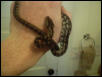 baby coastal5