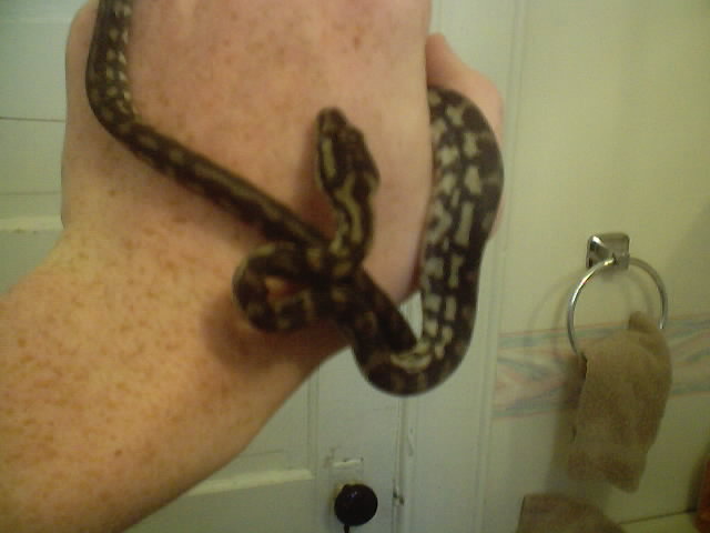 baby coastal5