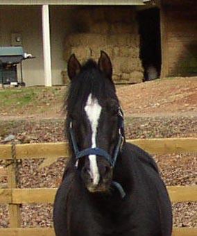 Hidalgo