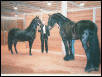 Zapata and friend