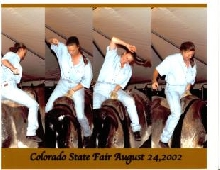 bull riding