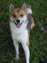 Smiling!