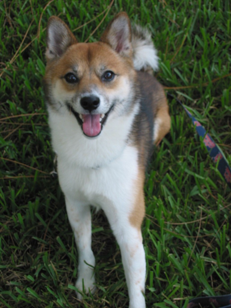 Smiling!