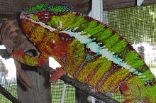 hephestos