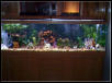 125 gallon