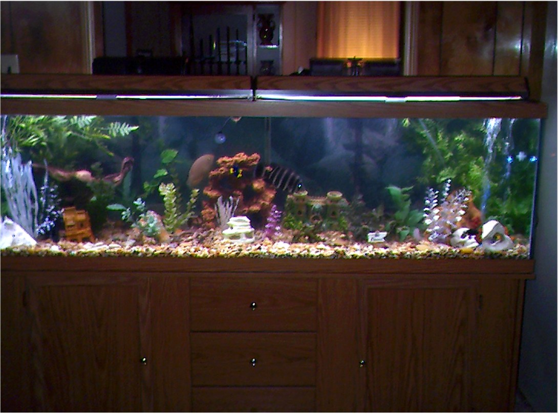 125 gallon