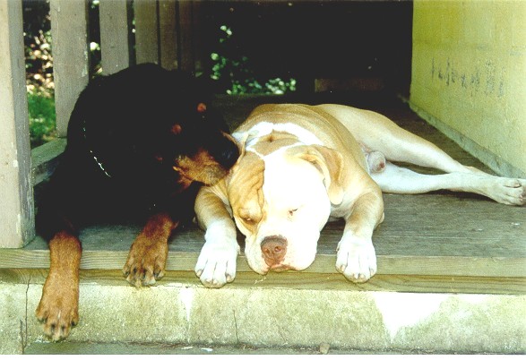 Trik and Keiser in happier days!