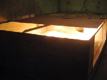 griseus cage