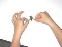 What is this?