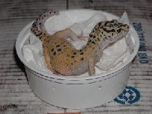 *2*