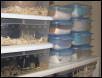 neonate apartments