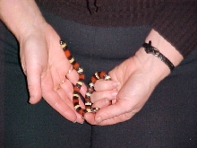 Male Apricot Pueblan
