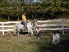 bella leading the way