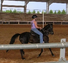 Dixie
