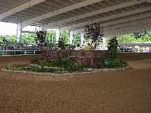 Judges Podium