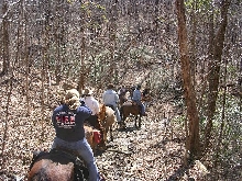 incline