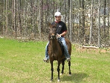 Gally and New owner