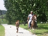 up the driveway