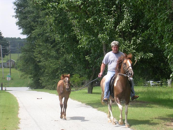 up the driveway