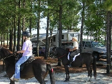Stella and Dixie