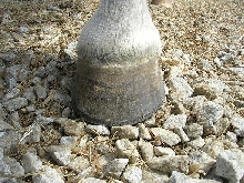 Front right 20