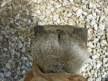 front right 25