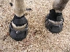easy boot prototype