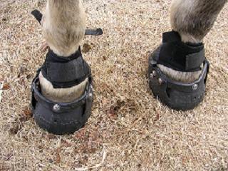 easy boot prototype