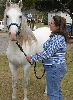 Grey Paso