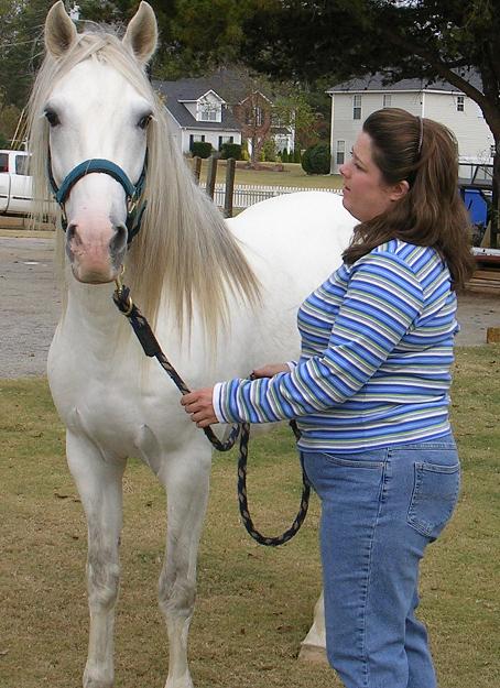 Grey Paso