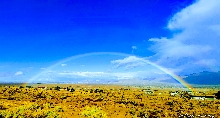 Beauty of the High Desert