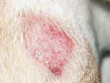 kattys sore1