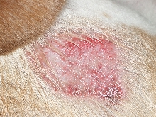 katttys sore 2