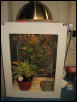 Chameleon Terrarium Front View