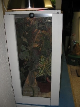Chameleon Terrarium Side view