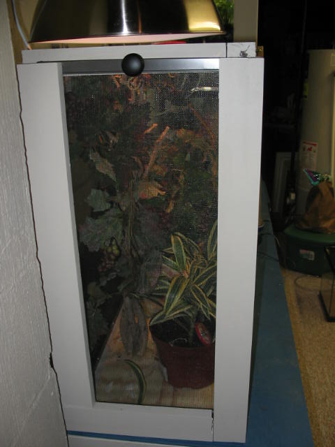 Chameleon Terrarium Side view