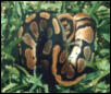 Female Ball 2