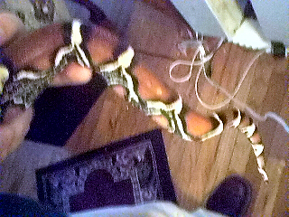 Guyanan Male