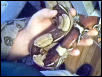 Guyanan Male
