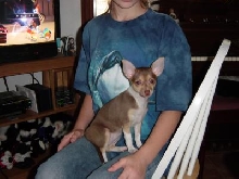 Maggie