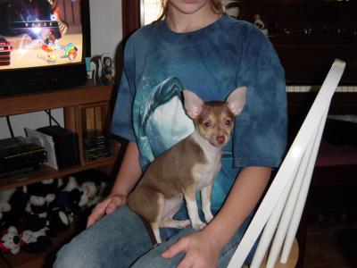 Maggie