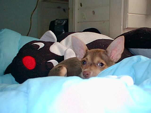 Maggie