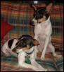 Finnegan & Josie