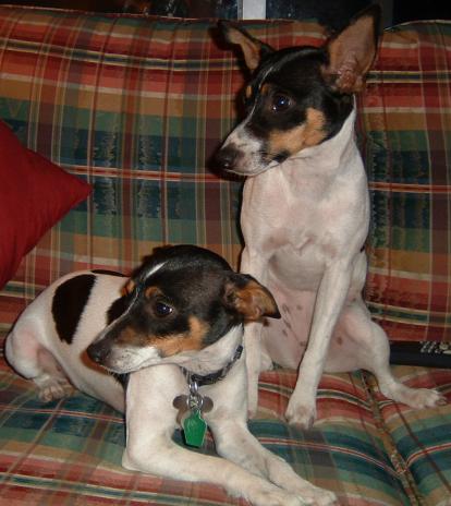 Finnegan & Josie