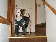 my pit and an old sweatshirt