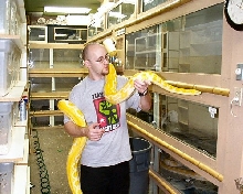 me and a large albino tiger retic at Prehistoric Pets
