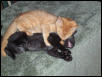 They Love Each Other